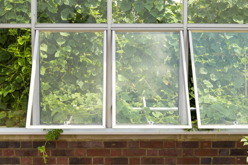 French Window Replacement